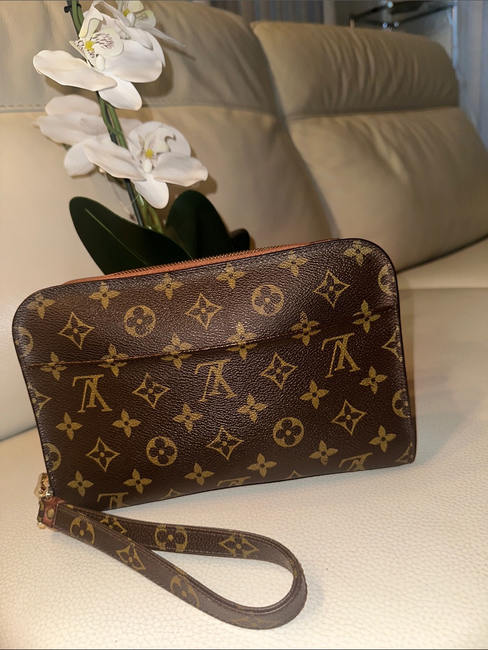 Louis Vuitton Monogram Canvas Wristlet in Brown and Gold